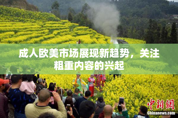 成人欧美市场展现新趋势，关注粗重内容的兴起