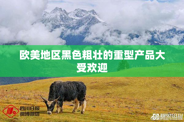 欧美地区黑色粗壮的重型产品大受欢迎