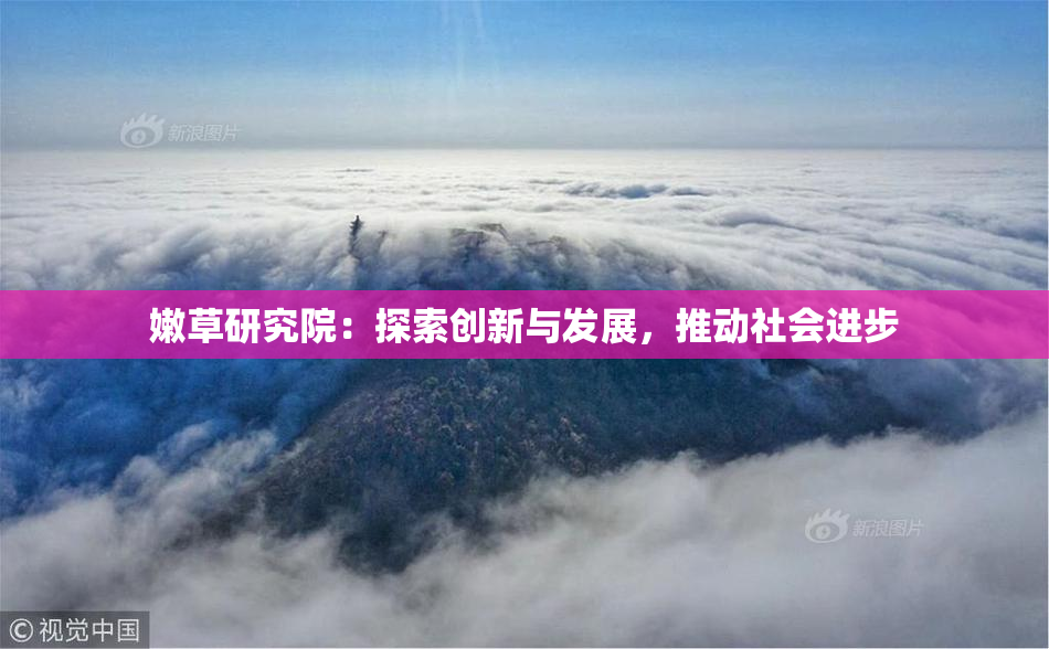 嫩草研究院：探索创新与发展，推动社会进步