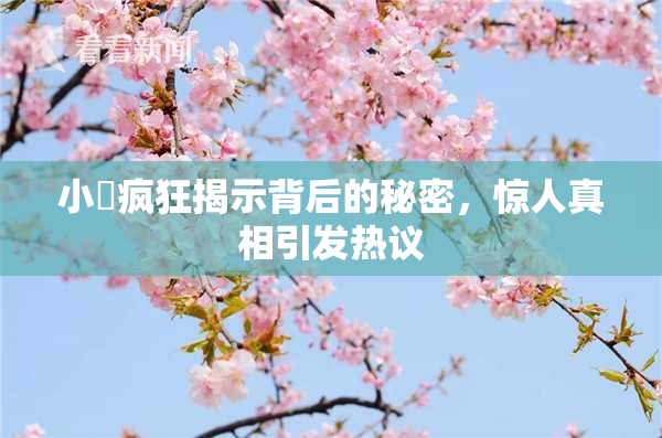 小泬疯狂揭示背后的秘密，惊人真相引发热议