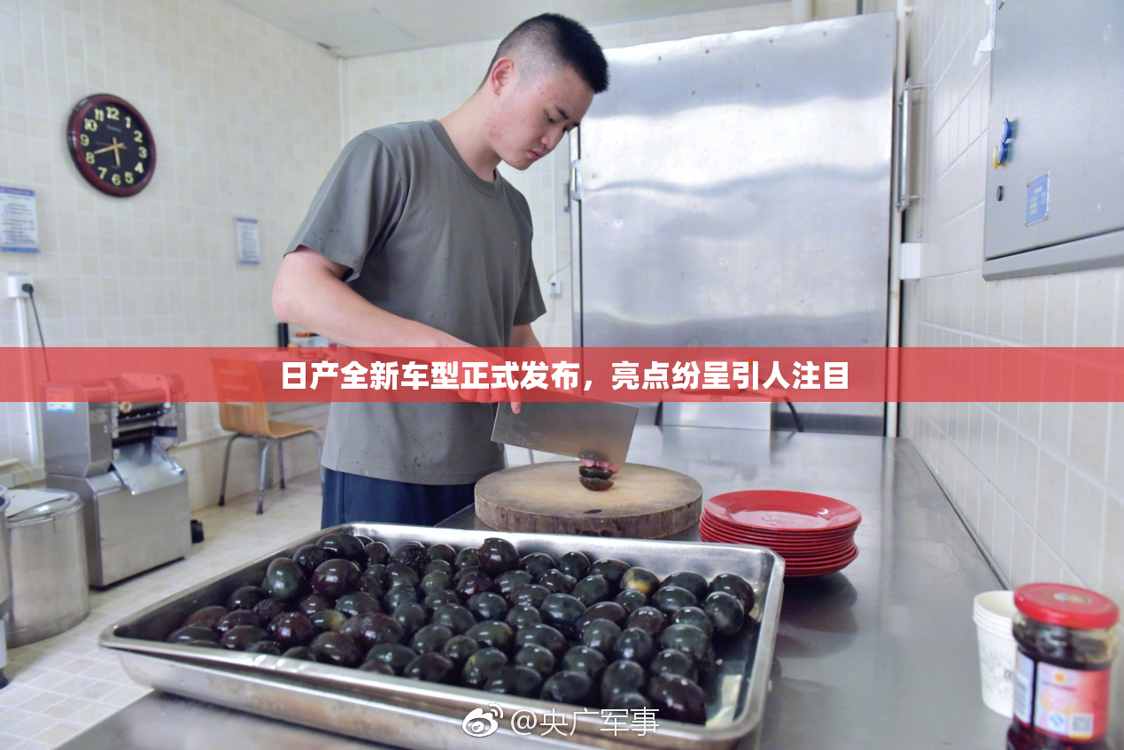 日产全新车型正式发布，亮点纷呈引人注目