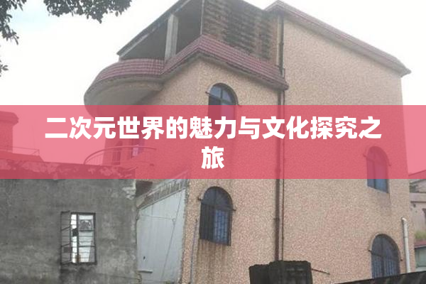 二次元世界的魅力与文化探究之旅
