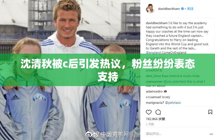 沈清秋被c后引发热议，粉丝纷纷表态支持