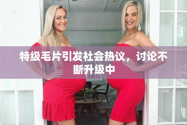 特级毛片引发社会热议，讨论不断升级中