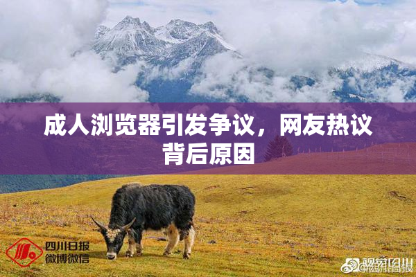 成人浏览器引发争议，网友热议背后原因