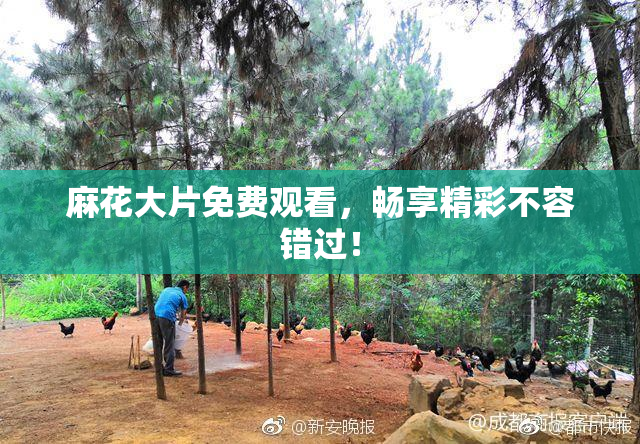 麻花大片免费观看，畅享精彩不容错过！