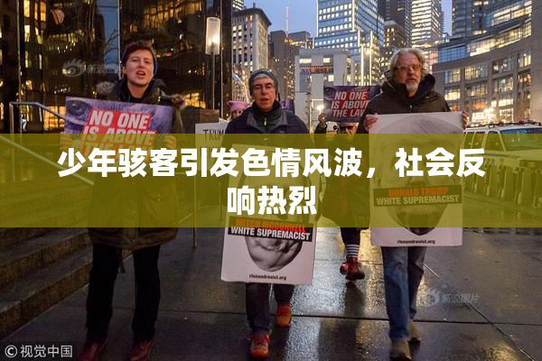 少年骇客引发色情风波，社会反响热烈