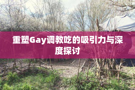 重塑Gay调教吃的吸引力与深度探讨