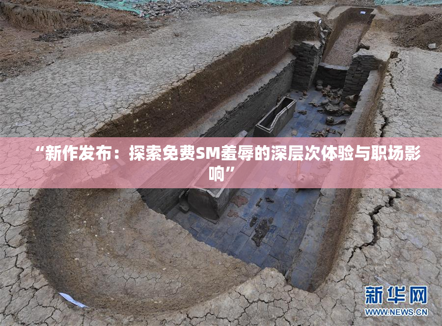 “新作发布：探索免费SM羞辱的深层次体验与职场影响”
