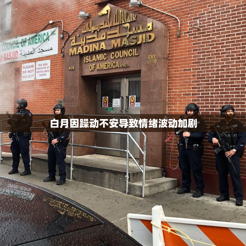 白月因躁动不安导致情绪波动加剧