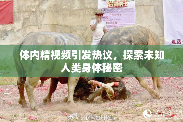 体内精视频引发热议，探索未知人类身体秘密