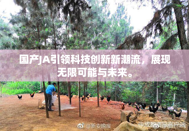 国产JA引领科技创新新潮流，展现无限可能与未来。