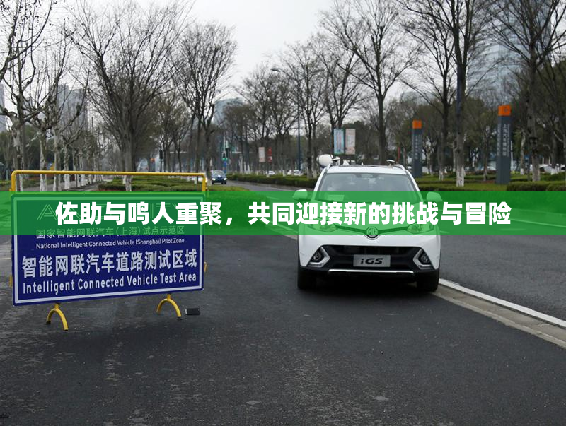 佐助与鸣人重聚，共同迎接新的挑战与冒险