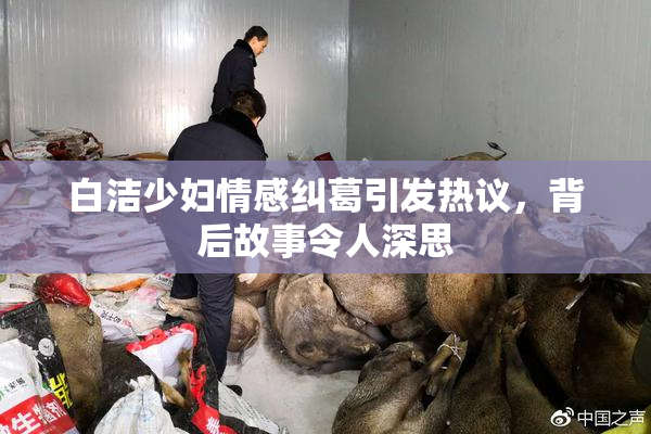 白洁少妇情感纠葛引发热议，背后故事令人深思