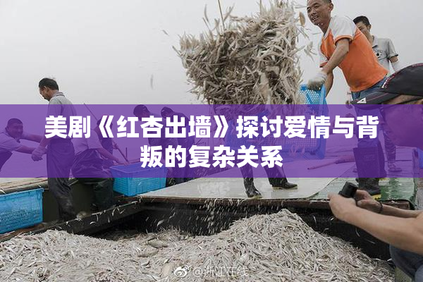 美剧《红杏出墙》探讨爱情与背叛的复杂关系