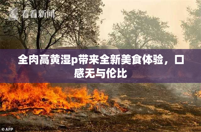 全肉高黄湿p带来全新美食体验，口感无与伦比