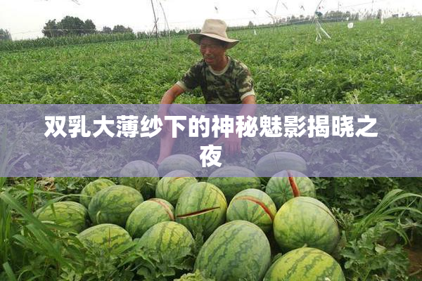 双乳大薄纱下的神秘魅影揭晓之夜