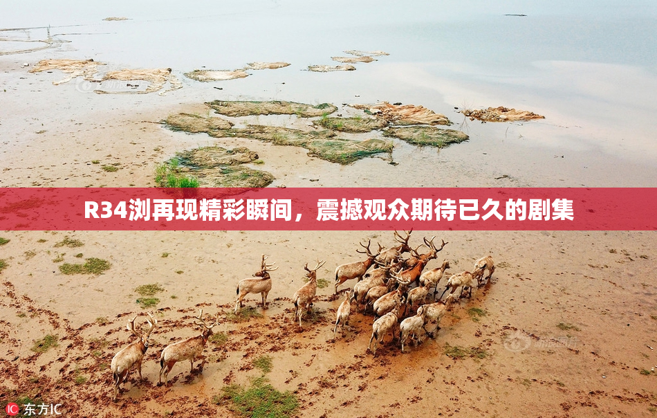 R34浏再现精彩瞬间，震撼观众期待已久的剧集