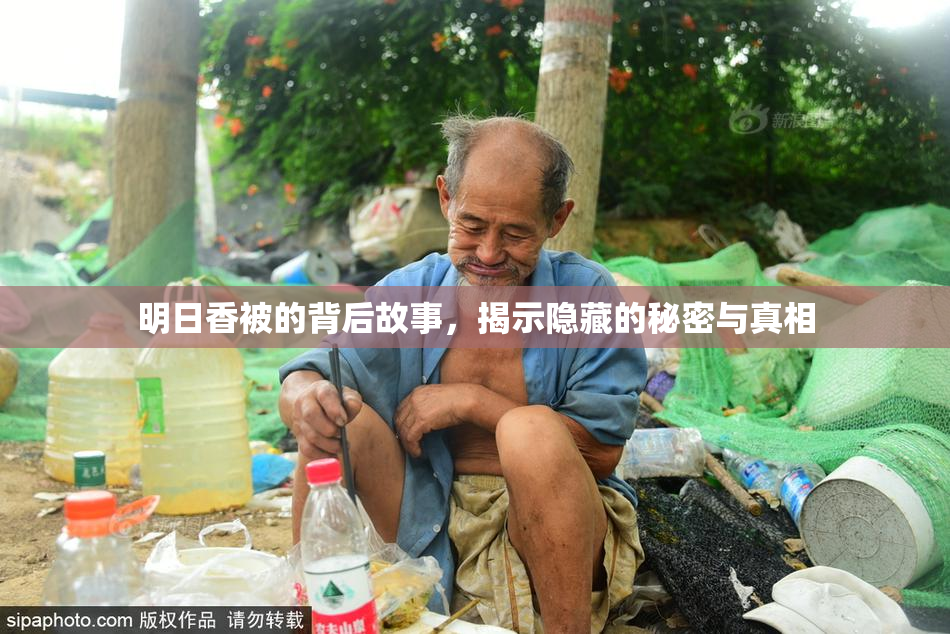 明日香被的背后故事，揭示隐藏的秘密与真相