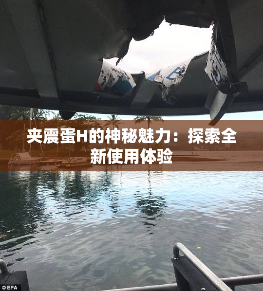 夹震蛋H的神秘魅力：探索全新使用体验