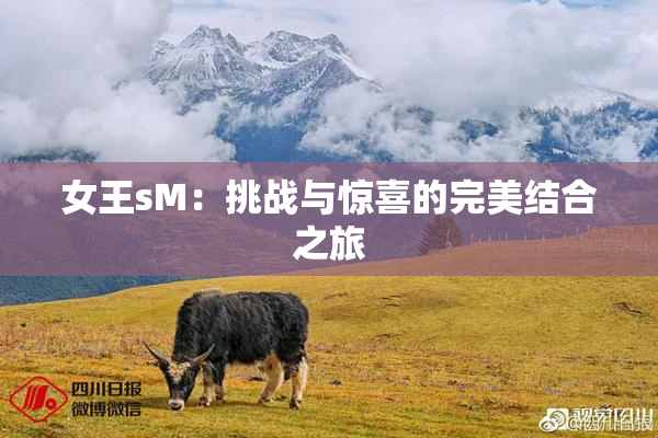 女王sM：挑战与惊喜的完美结合之旅