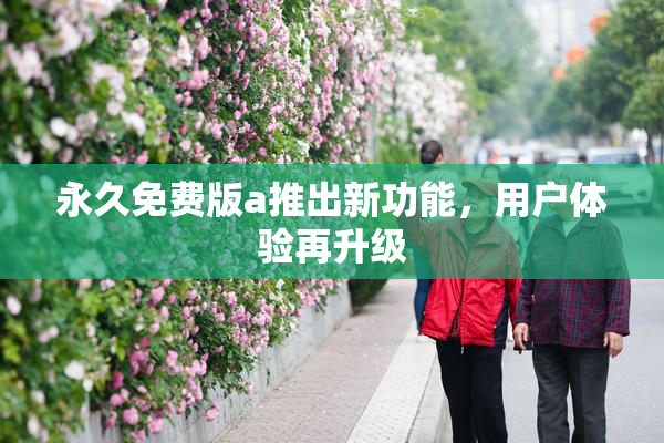 永久免费版a推出新功能，用户体验再升级