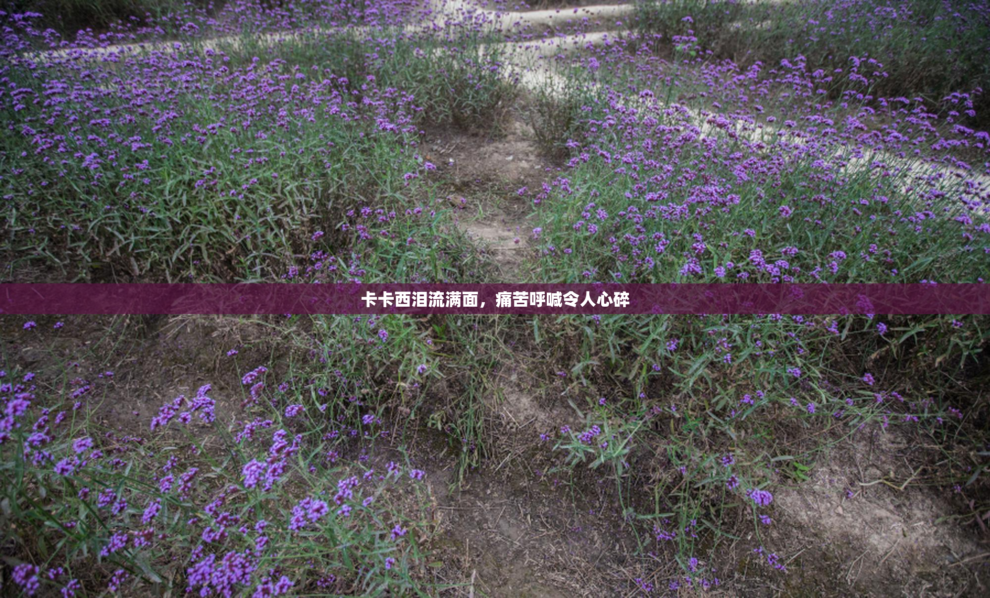 卡卡西泪流满面，痛苦呼喊令人心碎