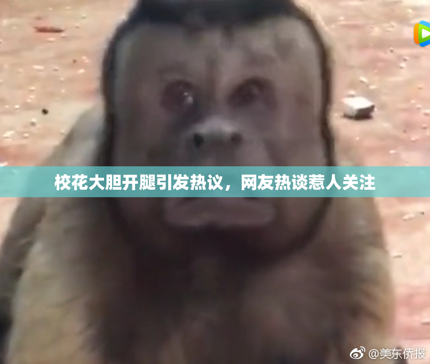 校花大胆开腿引发热议，网友热谈惹人关注