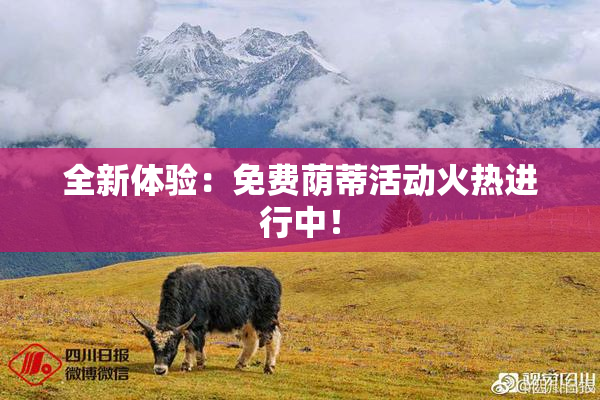 全新体验：免费荫蒂活动火热进行中！