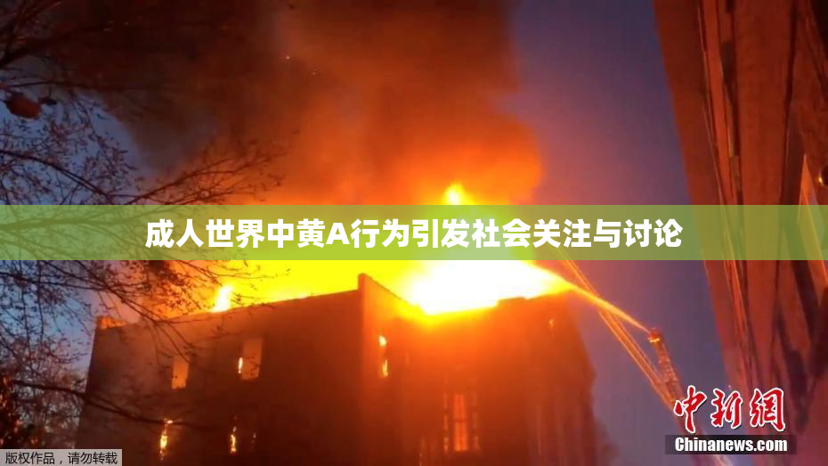 成人世界中黄A行为引发社会关注与讨论