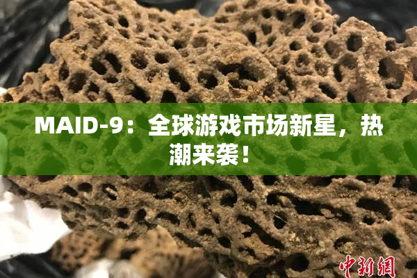 MAID-9：全球游戏市场新星，热潮来袭！