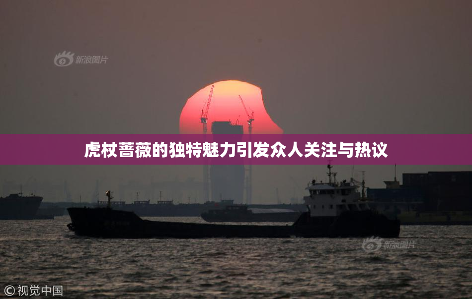 虎杖蔷薇的独特魅力引发众人关注与热议