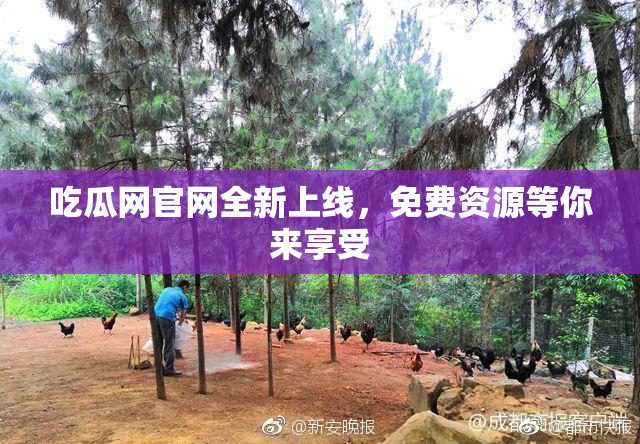 吃瓜网官网全新上线，免费资源等你来享受