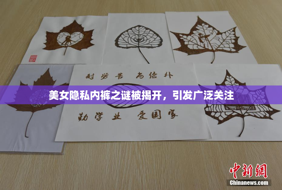 美女隐私内裤之谜被揭开，引发广泛关注