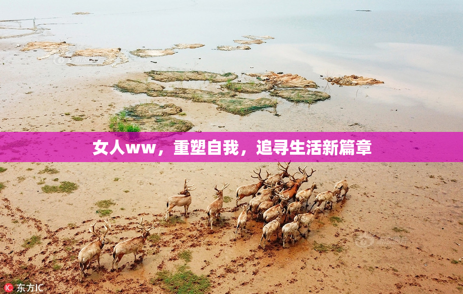 女人ww，重塑自我，追寻生活新篇章