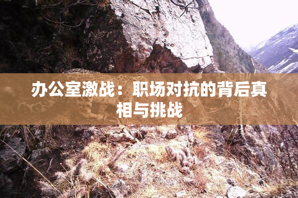 办公室激战：职场对抗的背后真相与挑战