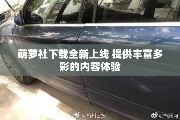 萌萝社下载全新上线 提供丰富多彩的内容体验