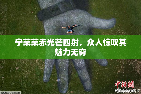 宁荣荣赤光芒四射，众人惊叹其魅力无穷
