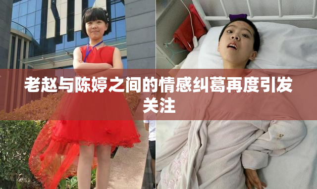老赵与陈婷之间的情感纠葛再度引发关注