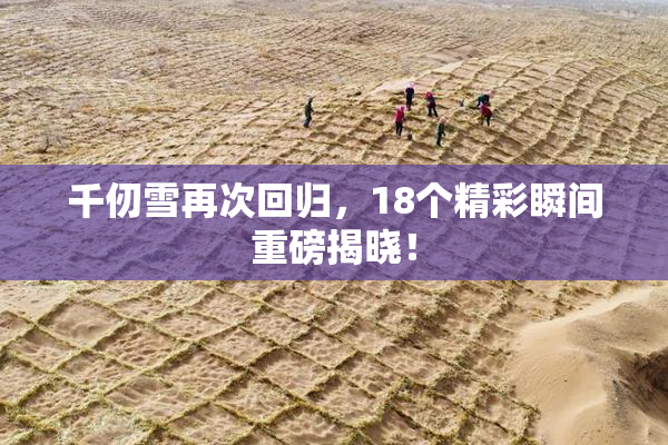 千仞雪再次回归，18个精彩瞬间重磅揭晓！