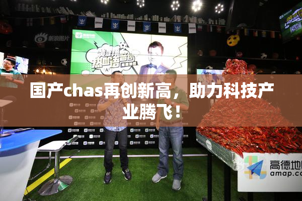 国产chas再创新高，助力科技产业腾飞！