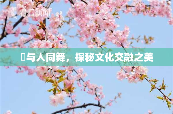 嘼与人同舞，探秘文化交融之美