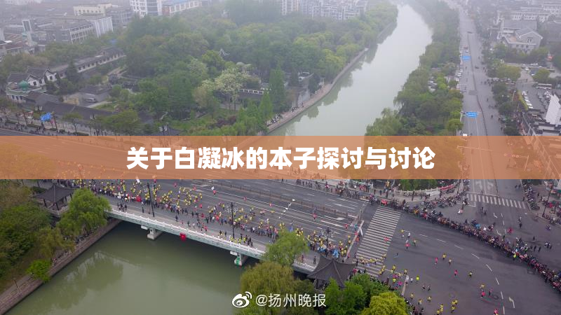 关于白凝冰的本子探讨与讨论
