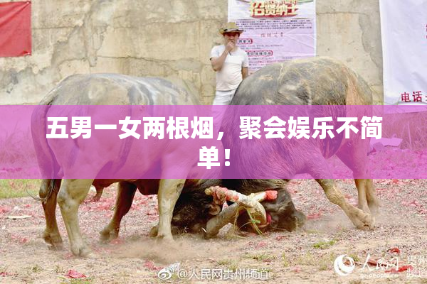 五男一女两根烟，聚会娱乐不简单！