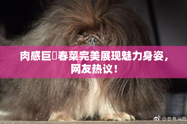 肉感巨凥春菜完美展现魅力身姿，网友热议！