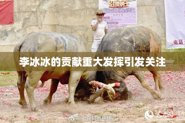 李冰冰的贡献重大发挥引发关注