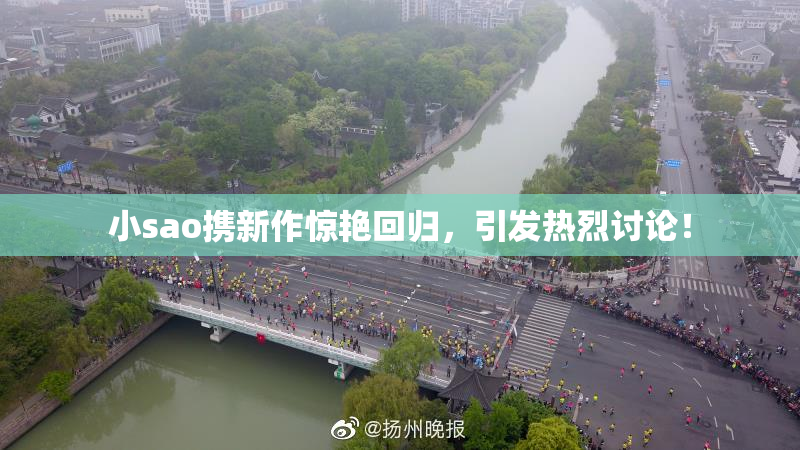 小sao携新作惊艳回归，引发热烈讨论！
