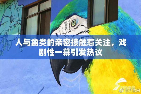 人与禽类的亲密接触惹关注，戏剧性一幕引发热议