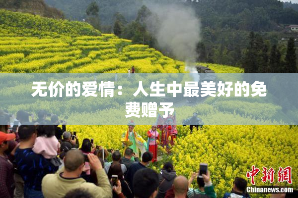 无价的爱情：人生中最美好的免费赠予
