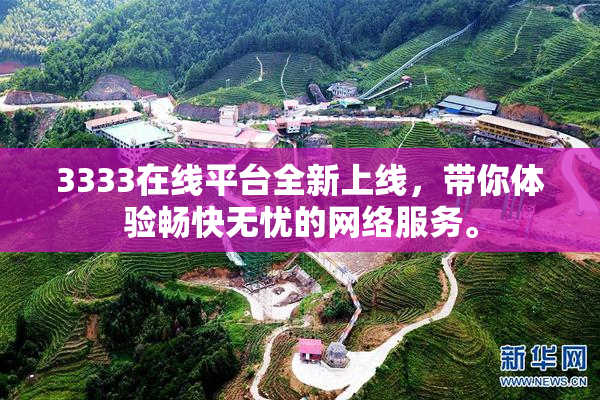 3333在线平台全新上线，带你体验畅快无忧的网络服务。